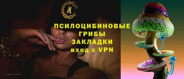 синтетический гашиш Сосновоборск