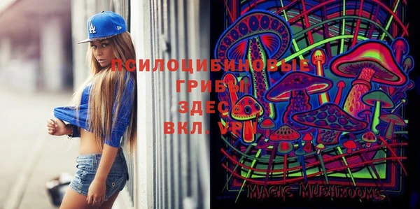 синтетический гашиш Сосновоборск